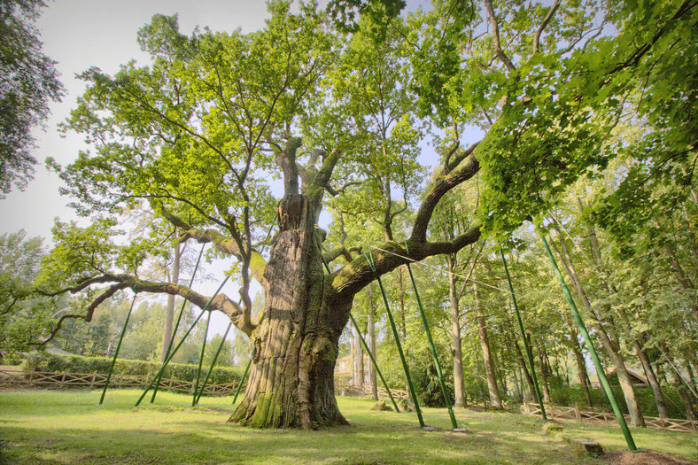 Odkrywamy Świętokrzyskie