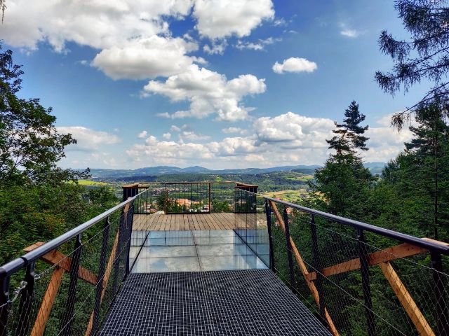 Wyprawa na Leśne Molo