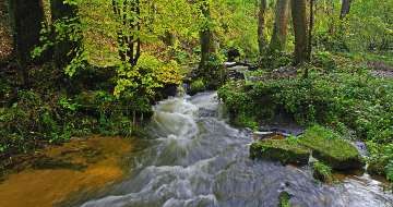 Roztocze, Zamość i Lublin
